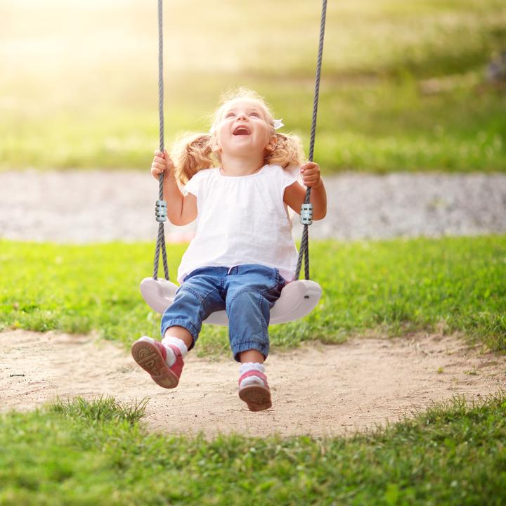 Actual product image Axi Double Metal Swing