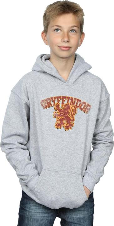 Produktbild Gryffindor Sport Emblem Kapuzenpullover Jungen (140, 146)