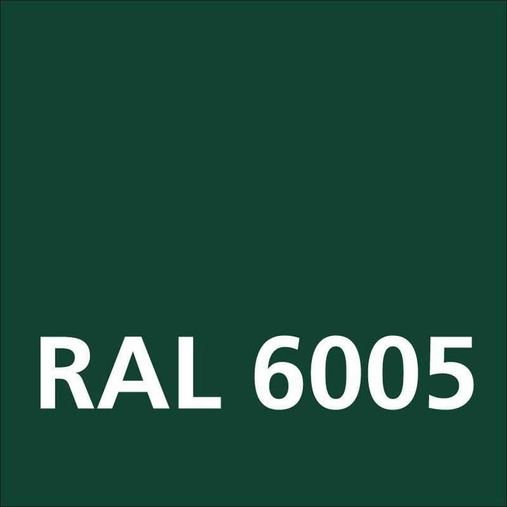 Actual product image Dupli-Color NEXT RAL 6005 Moss green glossy (Moss green, 0.40 l)