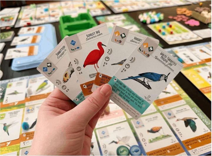 Actual product image 999Games 999 Games Wingspan-Erweiterung – Mittel- und Südamerika