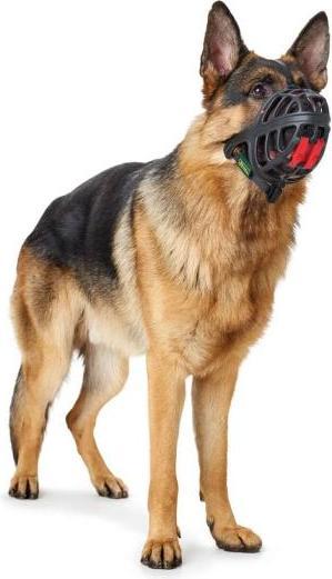 Actual product image Hunter Albury - Dog muzzle - 2 (Dog, General, Walks)