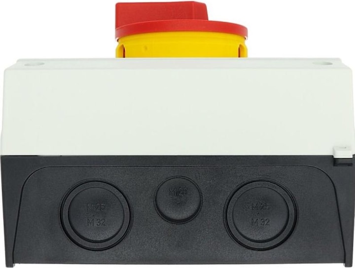 Actual product image Eaton Safety switch 3 pole + N, 63 A P3, Red
