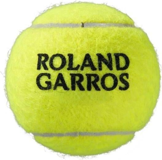 Immagine prodotto Wilson Roland Garos All Court 4