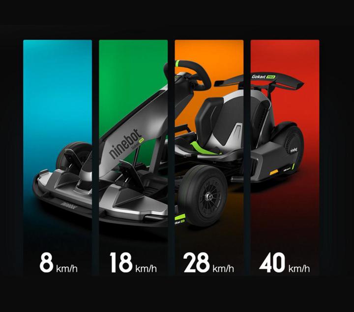 Actual product image Segway-Ninebot GoKart Pro