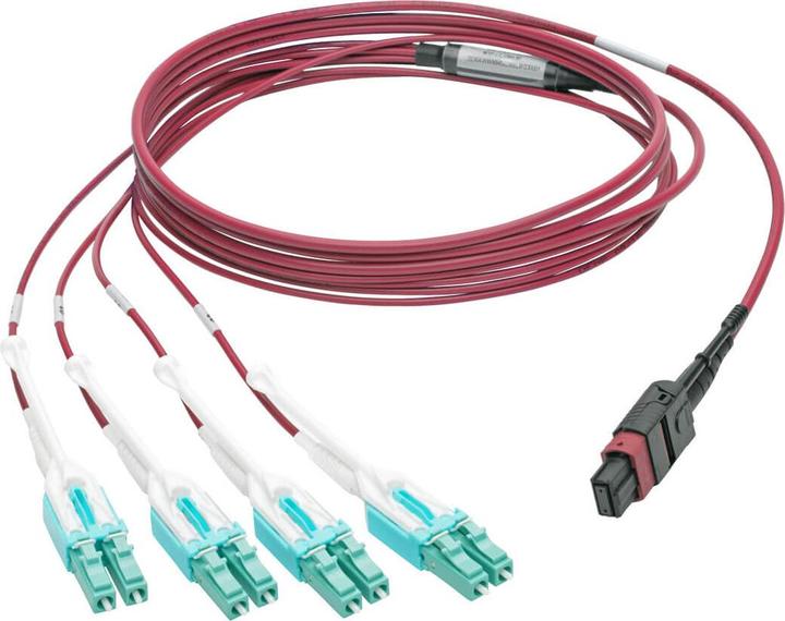 Eaton 40G MTP/MPO to 4xLC Fan-Out OM4 Plenum-Rated Fibre Optic Cable 40GBASE-SR4 Magenta 2 (CAT8.2, 2 m)