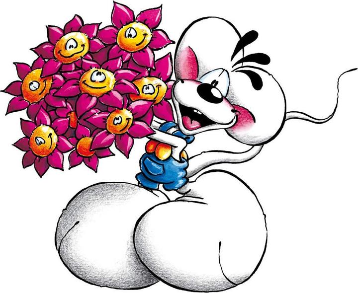 Image du produit Diddle Diddl - Salutations florales (85 x 85 cm)