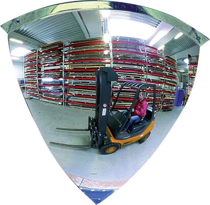 Actual product image Dancop Dome mirror eighth sphere D100cm