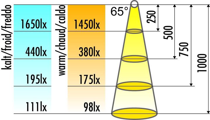 Actual product image Elektra LED Bianco F (240 lm, GX53)