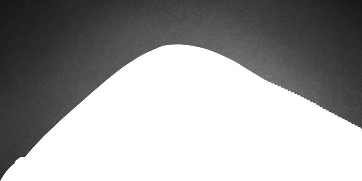 Productafbeelding HP Professionele notebook tas (15.60", HP, Universeel)