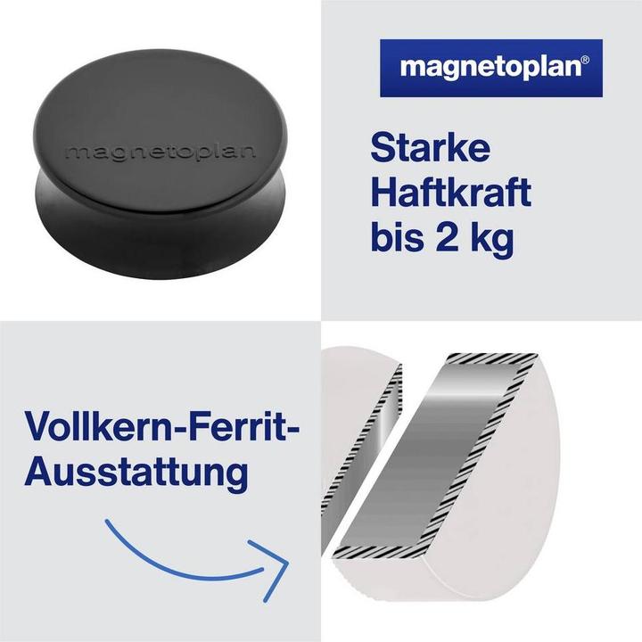 Image du produit Magnetoplan Aimant Ergo (1 x)