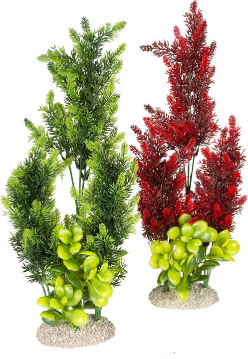 EBI Aqua Della Pflanze Elodea Densa Set XL (Pflanzen)