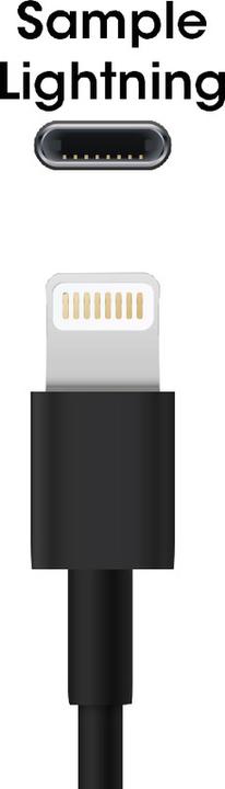 Actual product image Foxconn USB 2.0 cable Lightning - A (2 m, USB 2.0)
