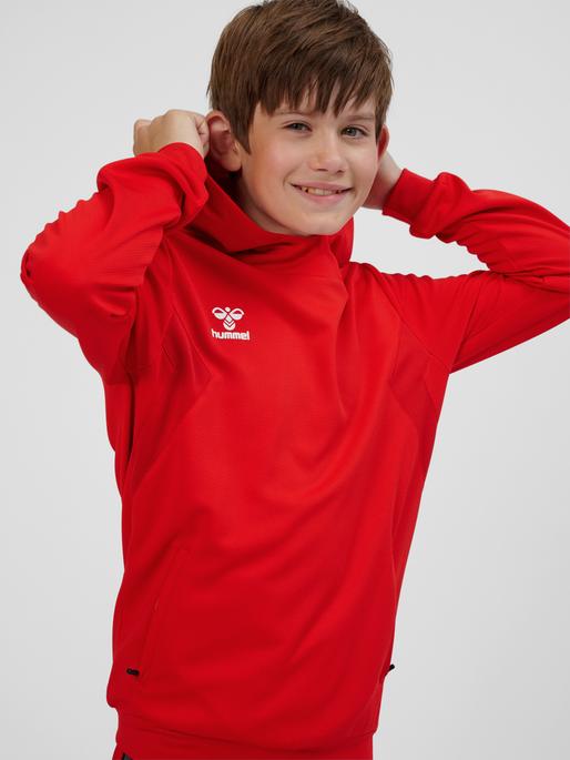Immagine prodotto hummel Hmlauthentic Pl Hoodie Kids (164)