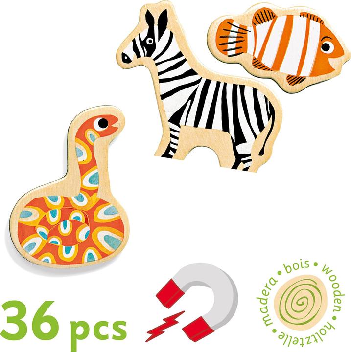 Produktbild Djeco Magnete Magnimo (36 x)