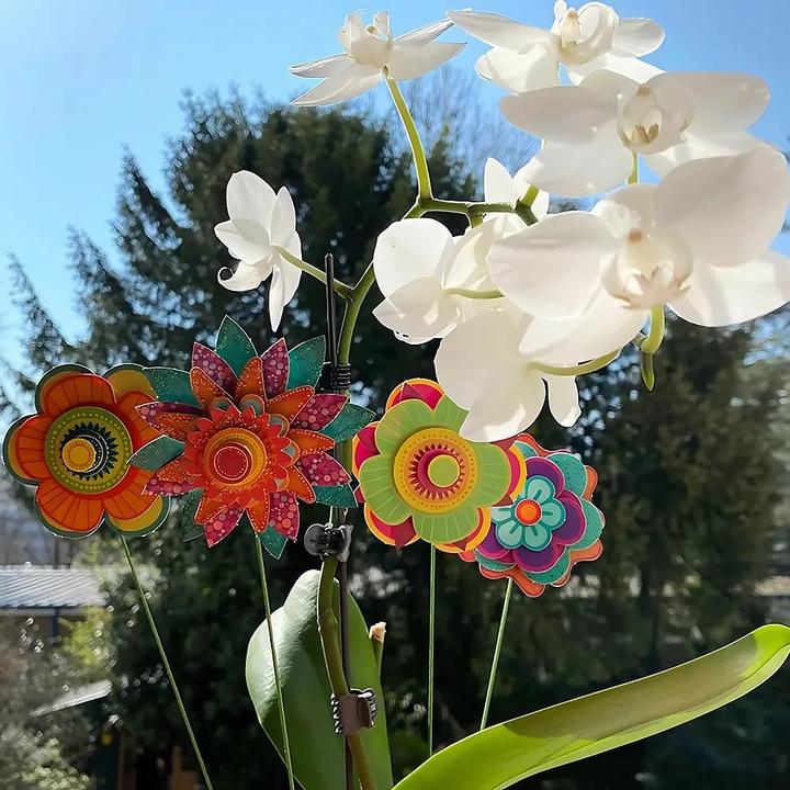 Immagine prodotto Sentosphere A&c Mein Erster Blumenstrauss