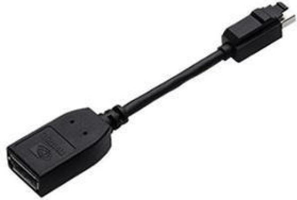 PNY DisplayPort-Adapter (Mini DP, 15 cm)