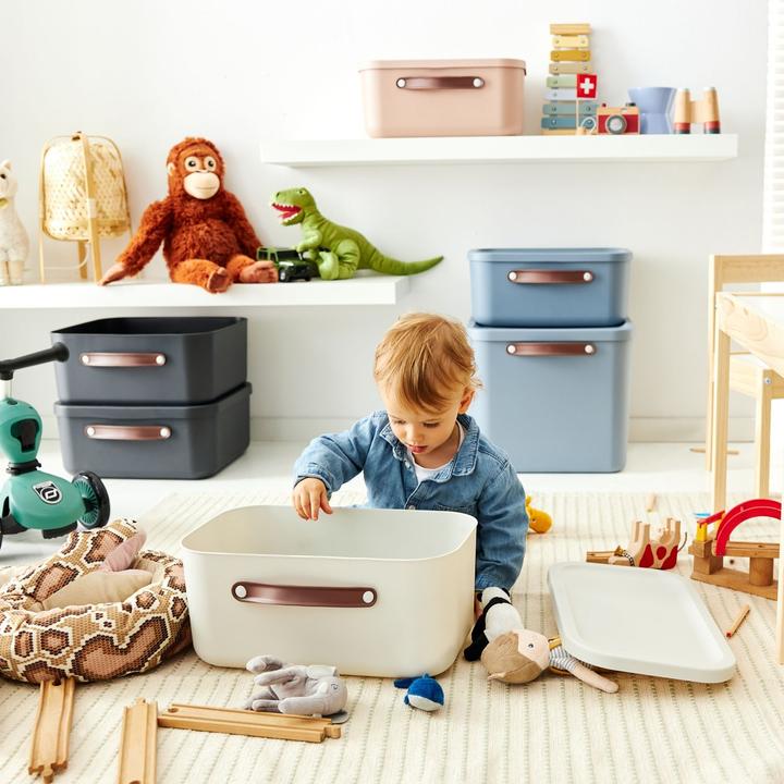 Produktbild Rotho Aufbewahrungsbox (38 cm, 20 l, 1x)