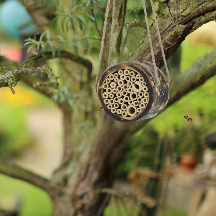Actual product image Relaxdays Bee hotel (Wild bees, Digger wasps)
