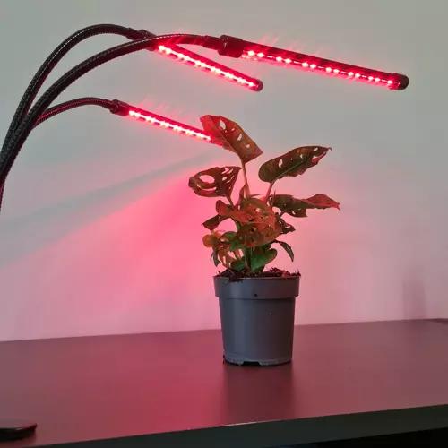 Image du produit Gardlov Lampe (LED, 5 V)