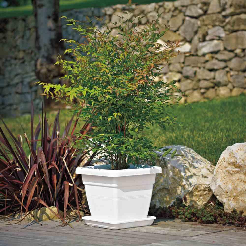 Thumbnail - Euro3plast, Blumentopf Zubehör, Untersetzer