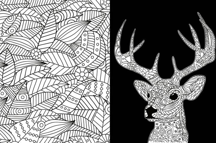 Produktbild Black Edition: Inspiration Waldtiere