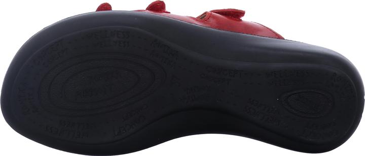 Actual product image Westland 16766-69 (42)