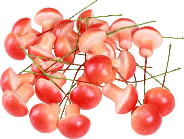 Produktbild Viana Deko Pilze am Draht für kreative Dekorationen