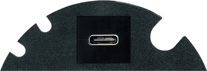 Produktbild Evoline Einsetz-Modul ® Circle80, USB-C 3.1 (1 Stk.)