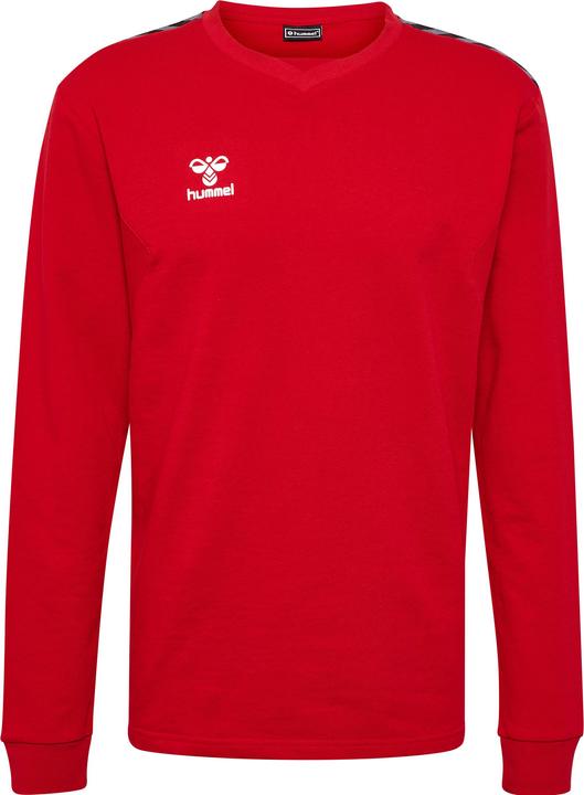 Actual product image hummel Hmlauthentic Co Training Sweat (XXL)