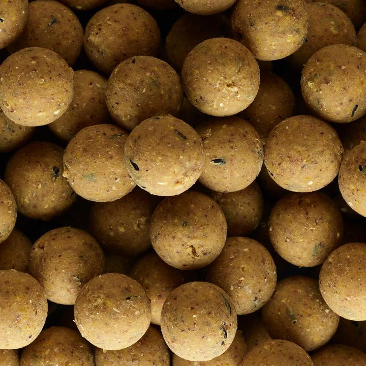 Produktbild Caperlan Boilies Scopex 20 mm
