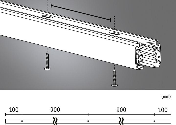 Actual product image Paulmann ProRail3 rail