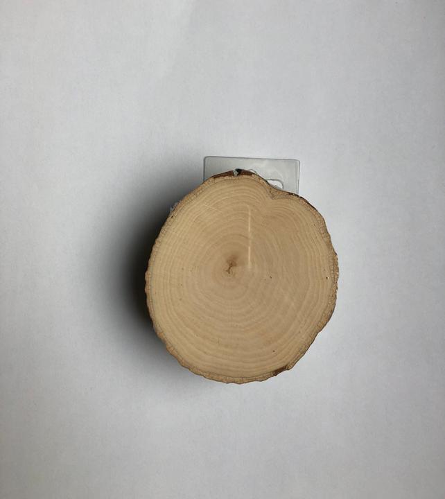 Actual product image Legna Creativa Raw wood rondels