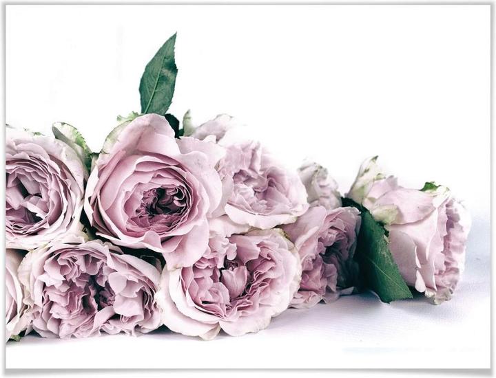 Produktbild Trenddeko Violette Pfingstrosen (80 x 60 cm)