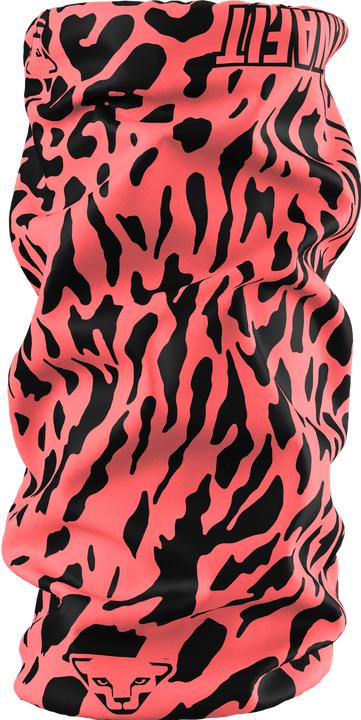 0910 LEO, 6172-cabana