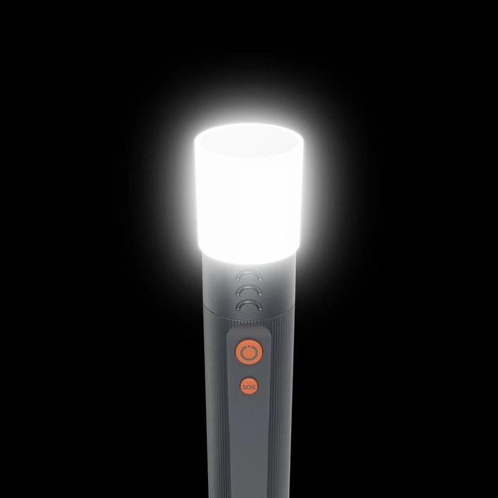 Immagine prodotto Hama FLX1000 (21 cm, 1000 lm)