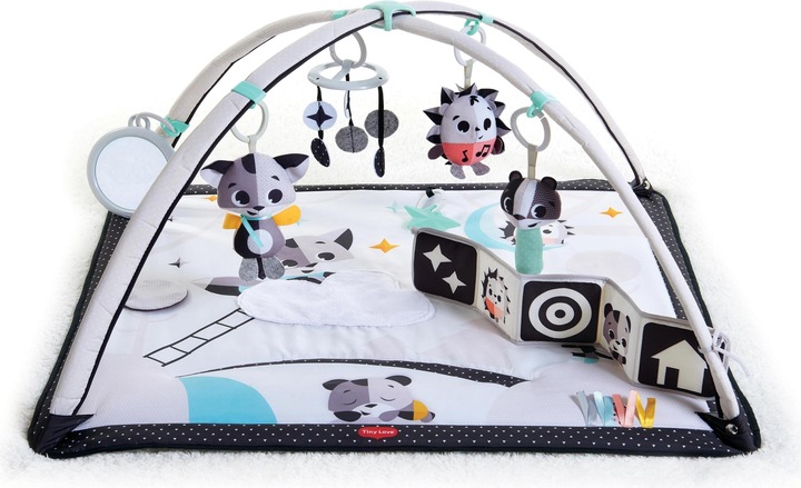 Actual product image Tiny Love Gymini Magic Tales
