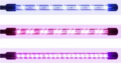 Actual product image Gardlov 20 LED (LED)