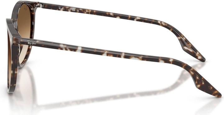 Immagine prodotto Ray Ban RB2204