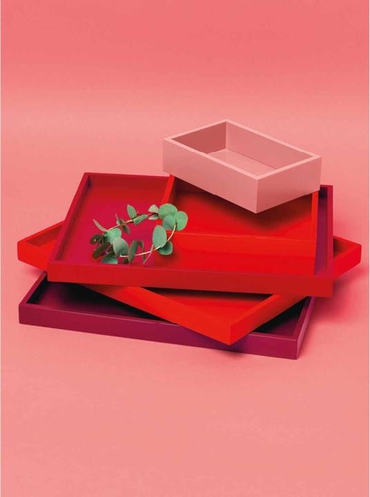 Actual product image Schönbuch Tally box