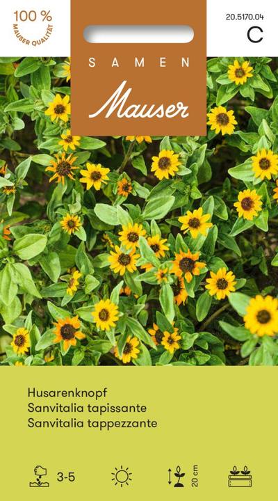 Image du produit Samen Mauser Bouton de hussard (Graines de fleurs)