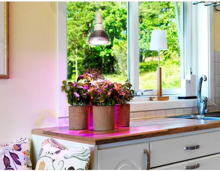 Actual product image Venso grow light (LED, 240 V)