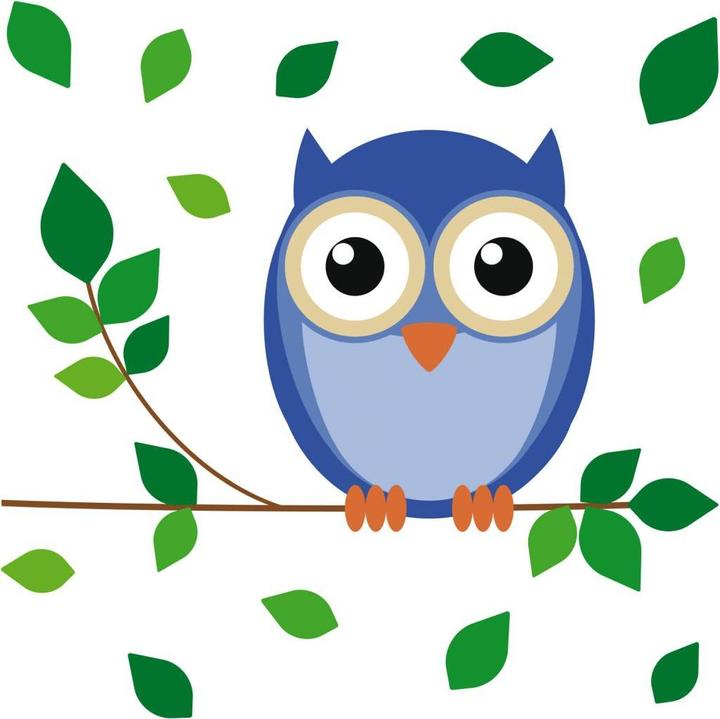 Image du produit Trenddeko Hibou Einstein (30 x 30 cm)