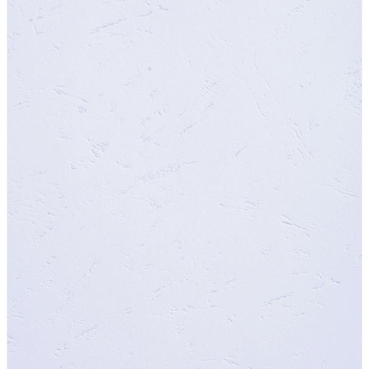 Actual product image Exacompta Cover Evercover 270 g/m², 100 pieces, White