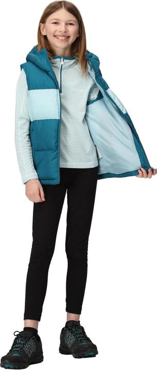 Produktbild Regatta Lofthouse Weste (104)