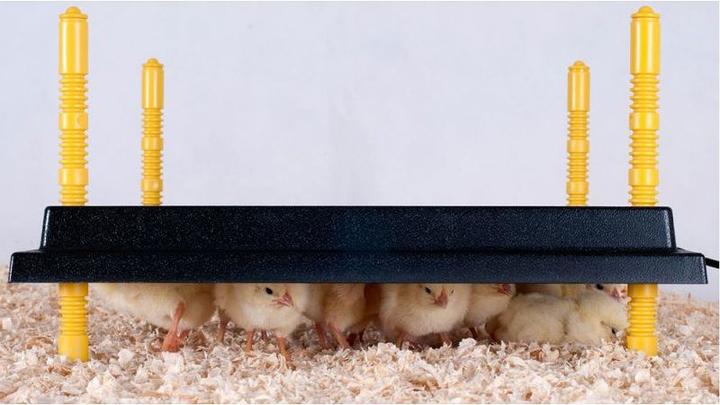 Actual product image Siepmann hot plate