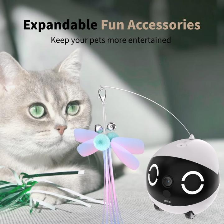 Actual product image Enabot Rola Mini Companion Robot (2304 x 1296 Pixels)