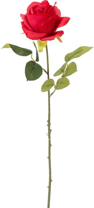 Domoletti Artificial flower, rose, red, 51 cm (51 cm)