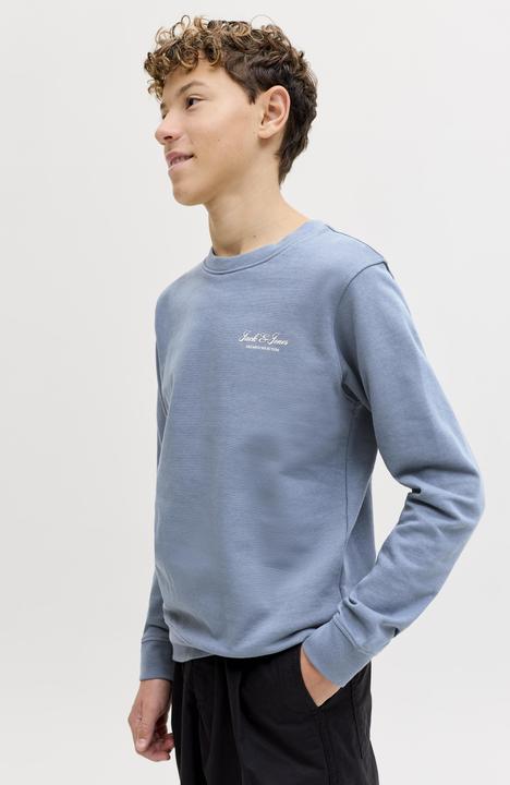 Produktbild Jack & Jones Jjearchive Graphic Sweat Cn Sn Jnr (152)