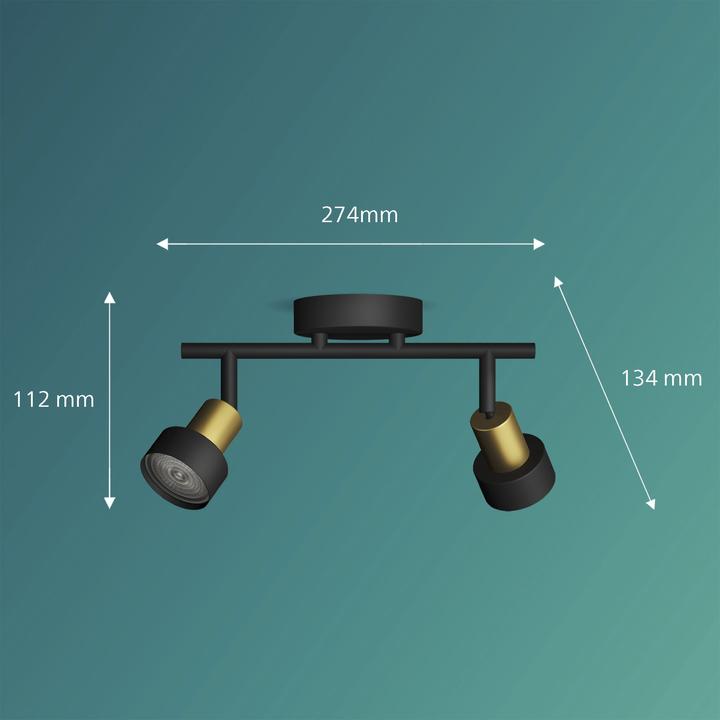 Immagine prodotto Philips Condotto (GU10)
