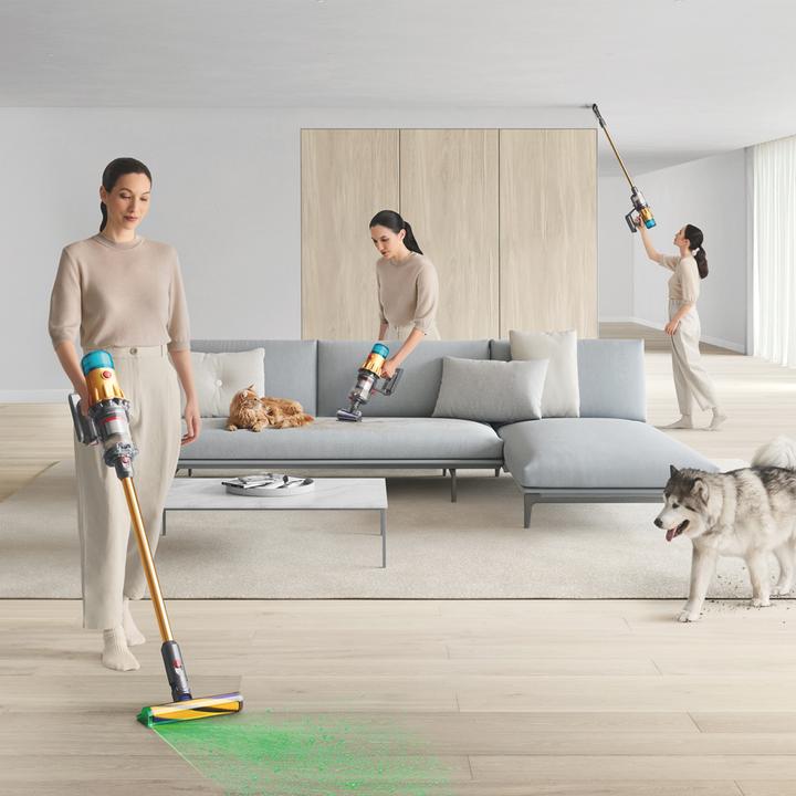 Actual product image Dyson V12 Detect Slim Absolute Gold